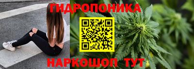гашик Моздок
