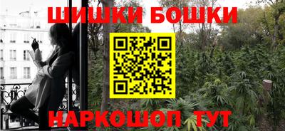 гашик Моздок