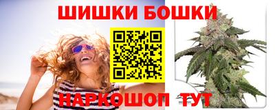 гашик Моздок