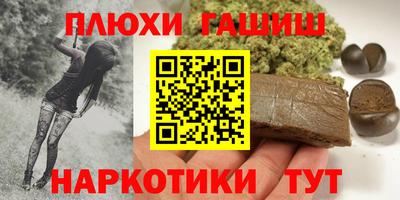 гашик Моздок